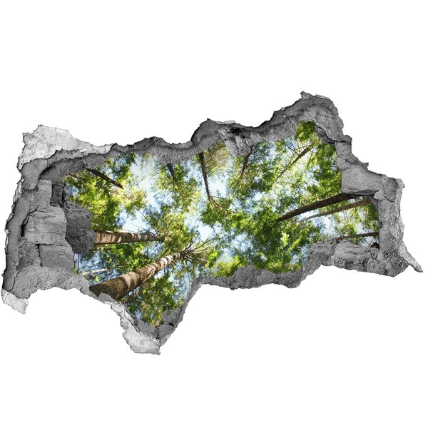 Sticker effetto rottura muro Vista della foresta con cielo azzurro
