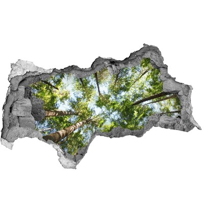 Sticker effetto rottura muro Vista della foresta con cielo azzurro