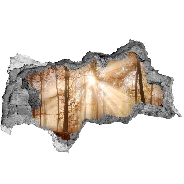 Adesivo con vista dietro il muro Passo forestale della pianura