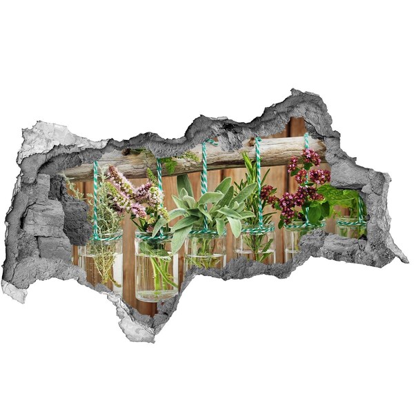 Adesivo con vista dietro il muro Giardino di erbe aromatiche in barattoli