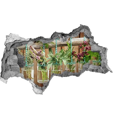 Adesivo con vista dietro il muro Giardino di erbe aromatiche in barattoli