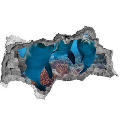 Adesivo con vista dietro il muro Delfini in una barriera corallina