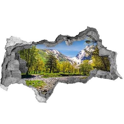Decorazione da parete buco nel muro Paesaggio montano con un fiume