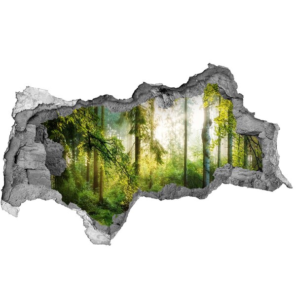 Sticker effetto rottura muro Un'oasi di pace nella foresta