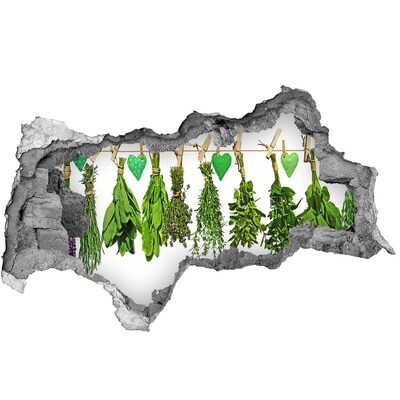 Decorazione da parete buco nel muro Giardino delle erbe aromatiche nel buco nel muro