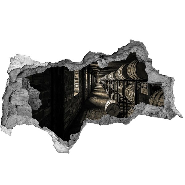 Decorazione da parete buco nel muro Interno della cantina delle botti