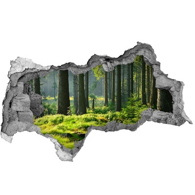 Sticker effetto rottura muro Foresta verdeggiante ai raggi del sole