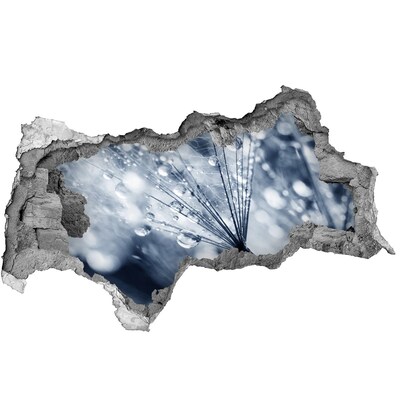 Adesivo con vista dietro il muro Gocce di rugiada su un dente di leone