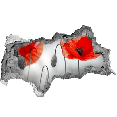 Adesivo con vista dietro il muro Fiori in un buco nel muro