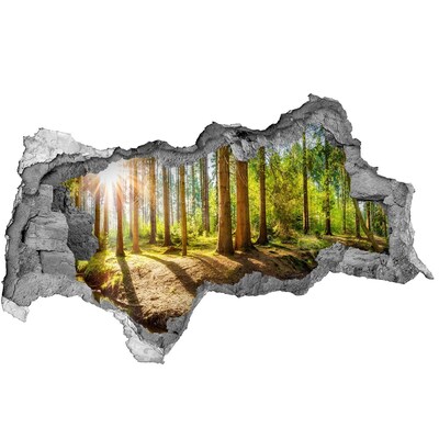 Sticker effetto rottura muro Un'oasi di pace nella foresta