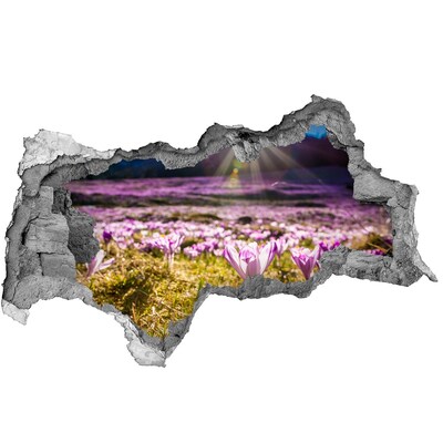 Sticker effetto rottura muro Un campo di fiori sotto il sole