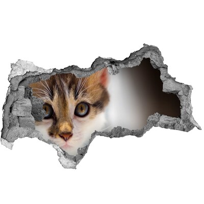 Decorazione da parete buco nel muro Gatto in un buco nel muro