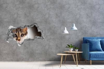 Decorazione da parete buco nel muro Gatto in un buco nel muro