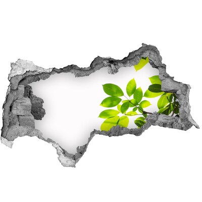 Decorazione da parete buco nel muro Un'oasi verde dietro il muro