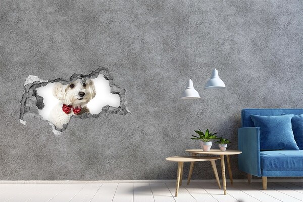 Sticker effetto rottura muro Un cane con un maglione che spunta da un buco nel muro