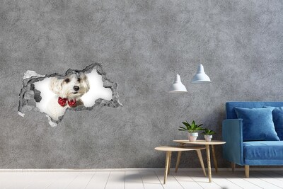 Sticker effetto rottura muro Un cane con un maglione che spunta da un buco nel muro
