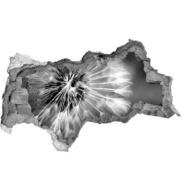 Sticker effetto rottura muro Denti di leone in bianco e nero