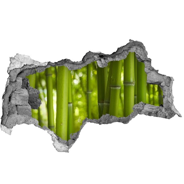 Adesivo con vista dietro il muro Boschetto di bambù verde
