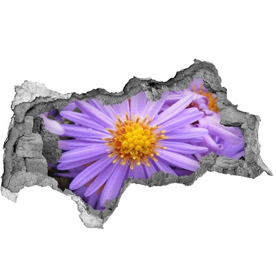 Sticker effetto rottura muro Fiore nel cemento