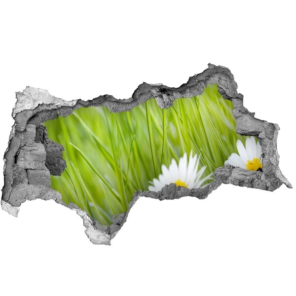 Decorazione da parete buco nel muro Un fiore in un giardino verde