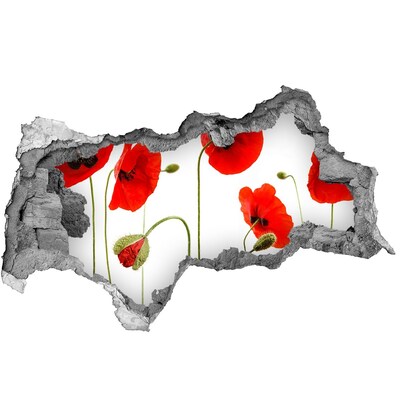 Adesivo con vista dietro il muro Fiori di papavero in un buco nel muro
