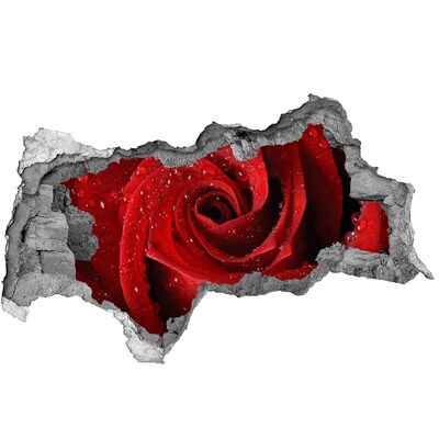 Decorazione da parete buco nel muro Fiore nel cemento