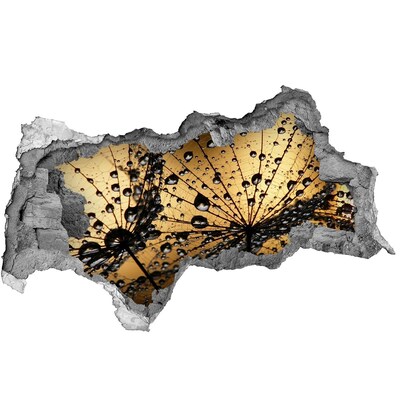 Decorazione da parete buco nel muro Gocce sulle foglie