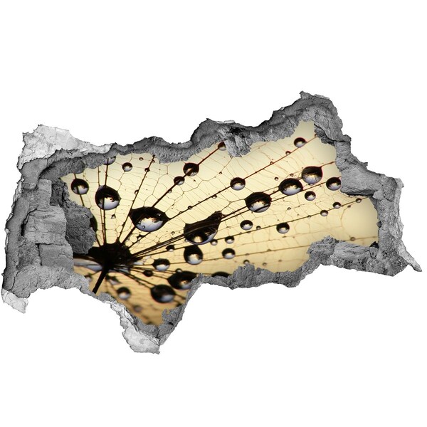 Adesivo con vista dietro il muro Gocce d'acqua sull'ala di una farfalla