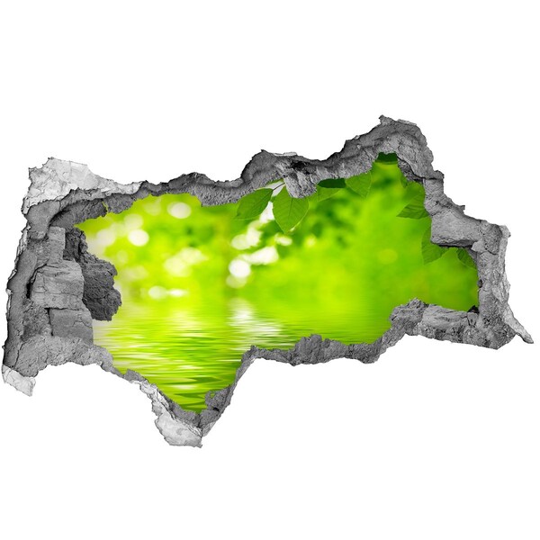 Decorazione da parete buco nel muro Oasi verde con acqua