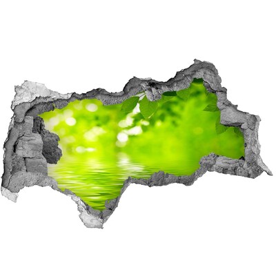 Decorazione da parete buco nel muro Oasi verde con acqua