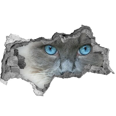 Decorazione da parete buco nel muro Gatto in un buco nel muro