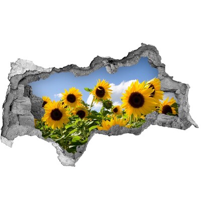 Adesivo con vista dietro il muro Girasoli alla luce del giorno