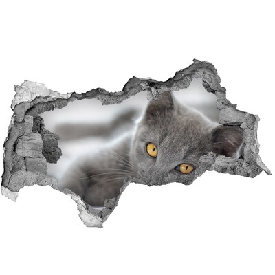 Sticker effetto rottura muro Gatto grigio in un buco nel muro