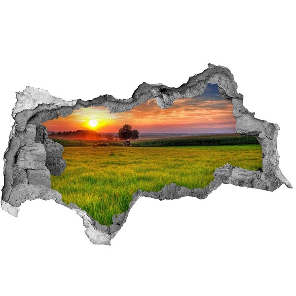 Sticker effetto rottura muro Tramonto sul prato