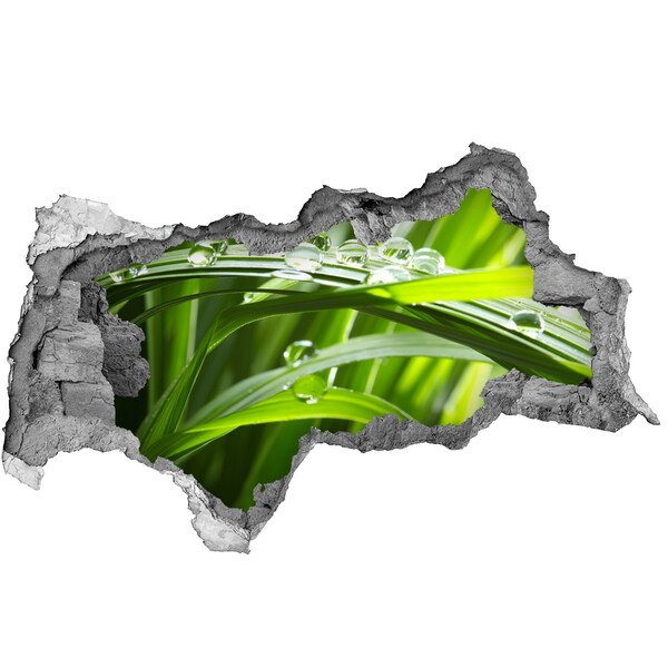 Adesivo con vista dietro il muro Prato verde con gocce d'acqua