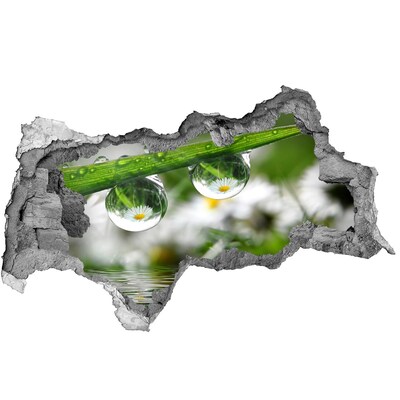 Adesivo con vista dietro il muro Oasi floreale con gocce d'acqua