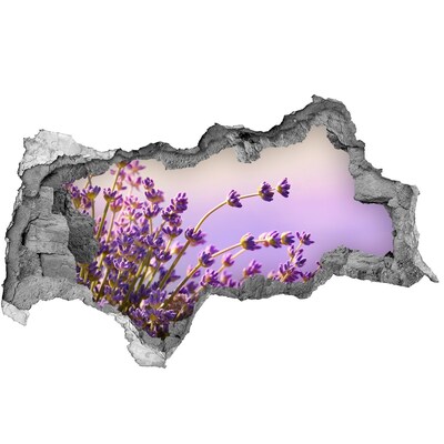 Sticker effetto rottura muro Fiori di lavanda nella luce del mattino