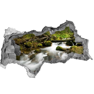 Decorazione da parete buco nel muro Ruscello verde nella foresta