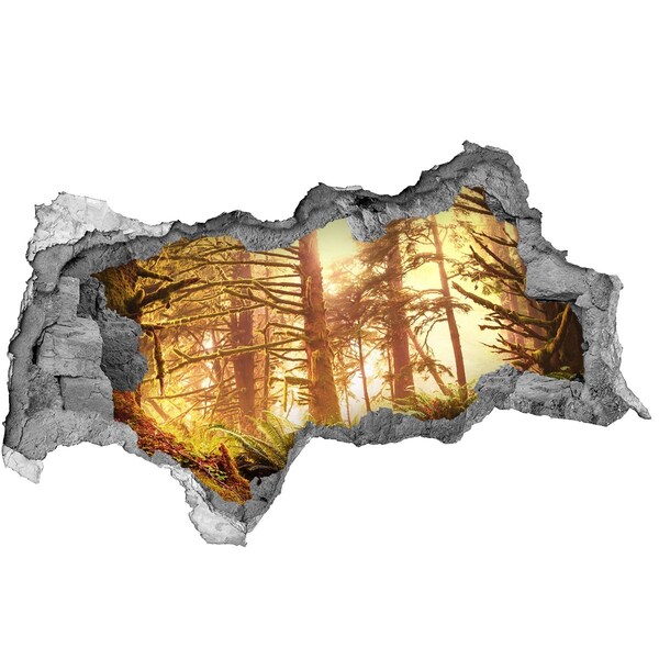 Sticker effetto rottura muro Un'oasi nella foresta baciata dal sole