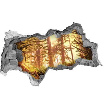 Sticker effetto rottura muro Un'oasi nella foresta baciata dal sole