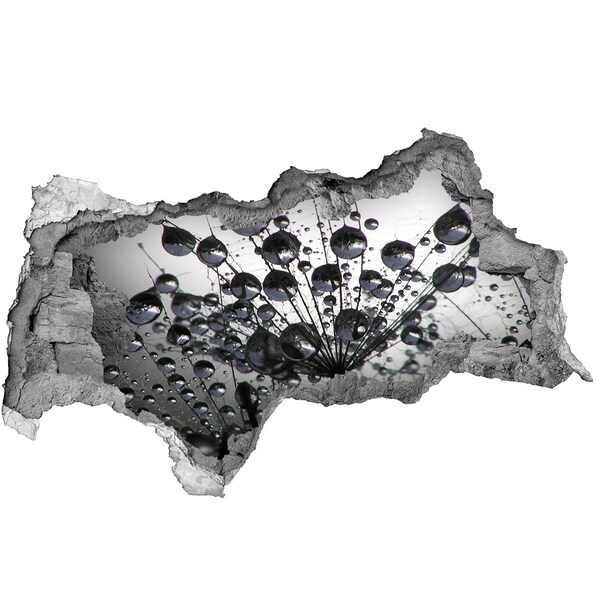 Decorazione da parete buco nel muro Gocce d'acqua su un dente di leone