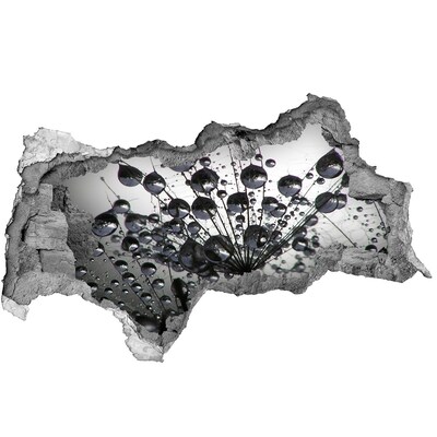 Decorazione da parete buco nel muro Gocce d'acqua su un dente di leone