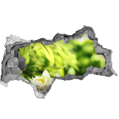 Decorazione da parete buco nel muro Un fiore in un giardino verde