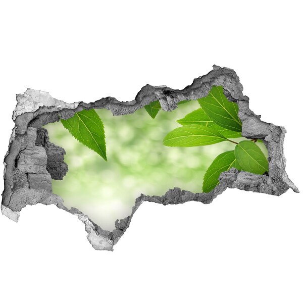 Decorazione da parete buco nel muro Un'oasi verde in cemento