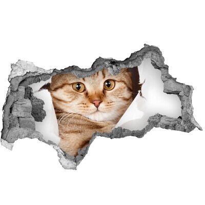 Decorazione da parete buco nel muro Gatto in un buco nel muro