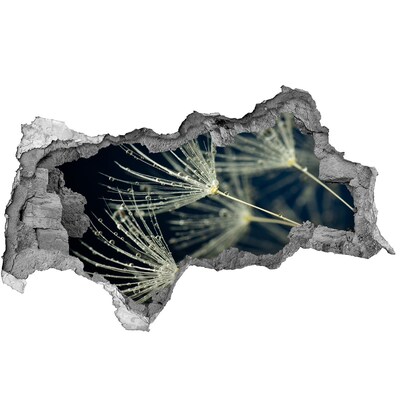 Adesivo con vista dietro il muro Fiori di tarassaco in acqua