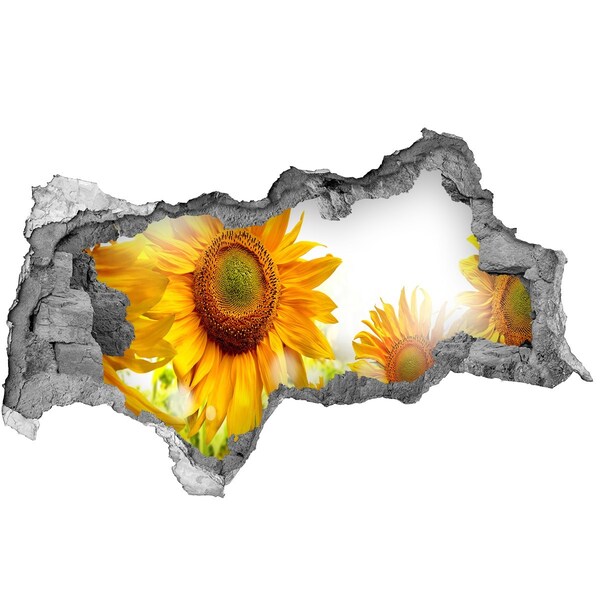 Decorazione da parete buco nel muro Un sogno floreale dietro il muro