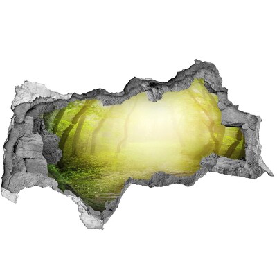 Decorazione da parete buco nel muro Foresta verdeggiante ai raggi del sole