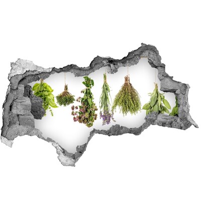 Adesivo con vista dietro il muro Angolo delle erbe aromatiche in cucina