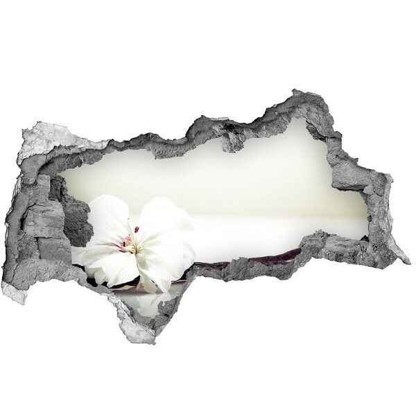 Decorazione da parete buco nel muro Vista floreale attraverso il muro